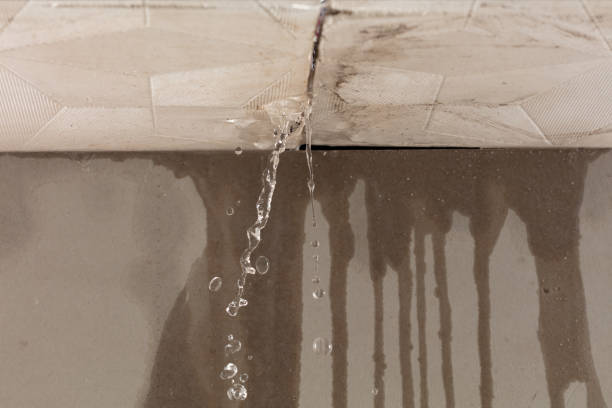 Professional Sewage Cleanup technician working in Lake George, CO